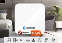 Inteligentna bramka ZigBee 3.0 + Wi‑Fi (Tuya / Smart Life)